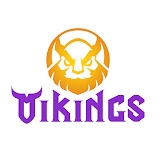 Vikings Channel Icon