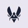 Low quality channel image for Team Vitality