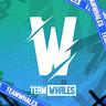 Low quality channel image for Team Whales Esports