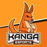 Low quality channel image for Kanga Esports