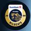 DenizBank İstanbul Wildcats channel avatar