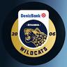 Low quality channel image for DenizBank İstanbul Wildcats