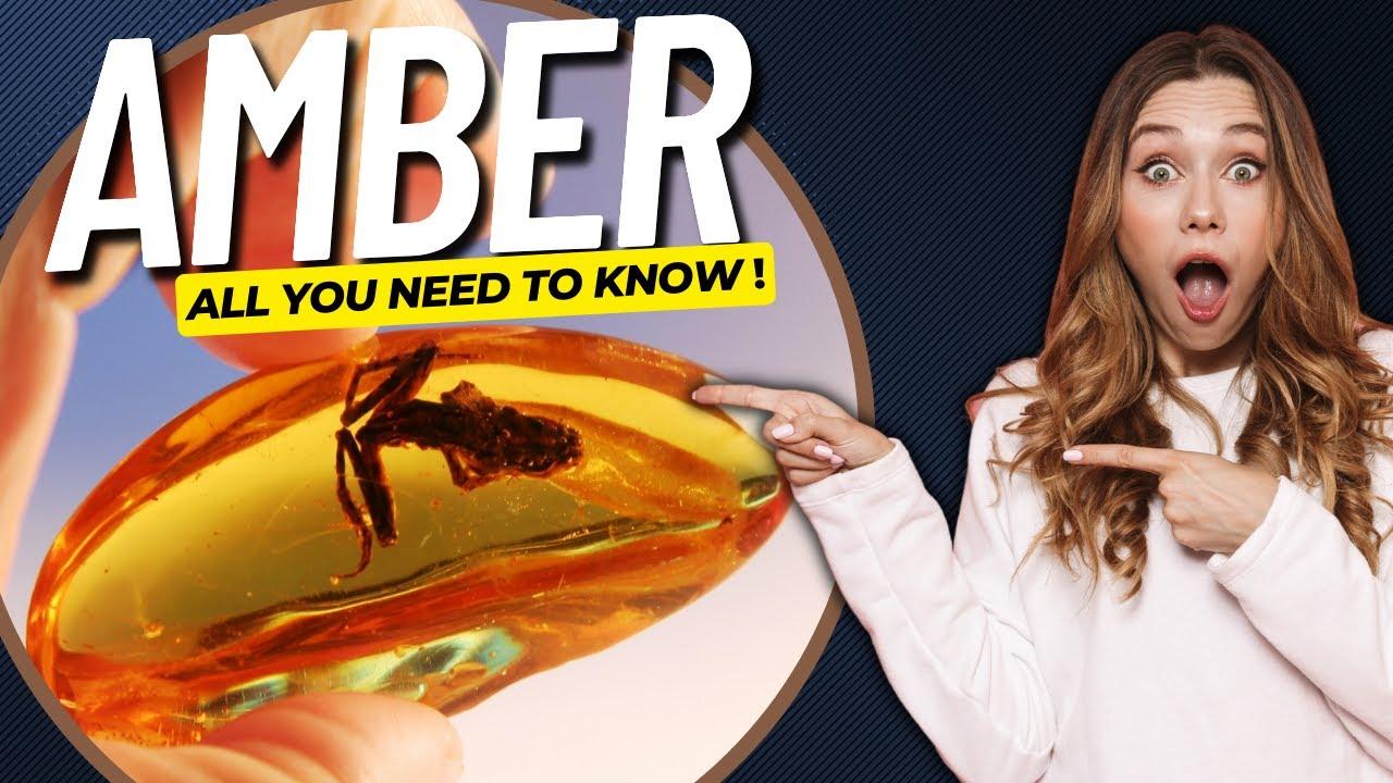 AMBER • The Story of a Fossilized Treasure - All You Need to Know! thumbnail