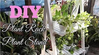 DIY Plant Rack | DIY Plant Stand | DIY Plant Shelf | Home & DIY PH thumbnail