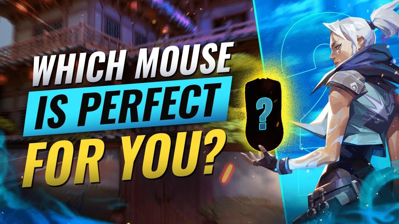 How To Choose Your PERFECT Mouse! - Valorant Mouse Guide thumbnail