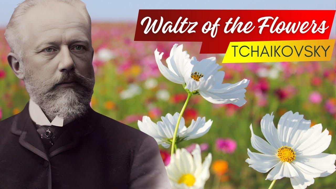 Tchaikovsky: Waltz of the  Flowers thumbnail