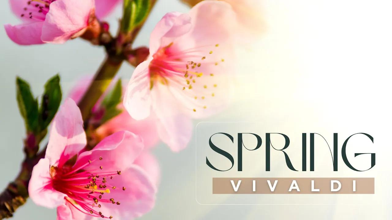 Antonio VIVALDI: SPRING (Four Seasons) thumbnail