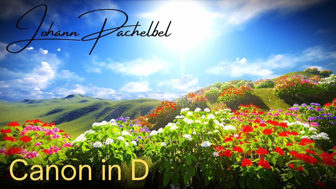 Johann Pachelbel: Canon in D thumbnail