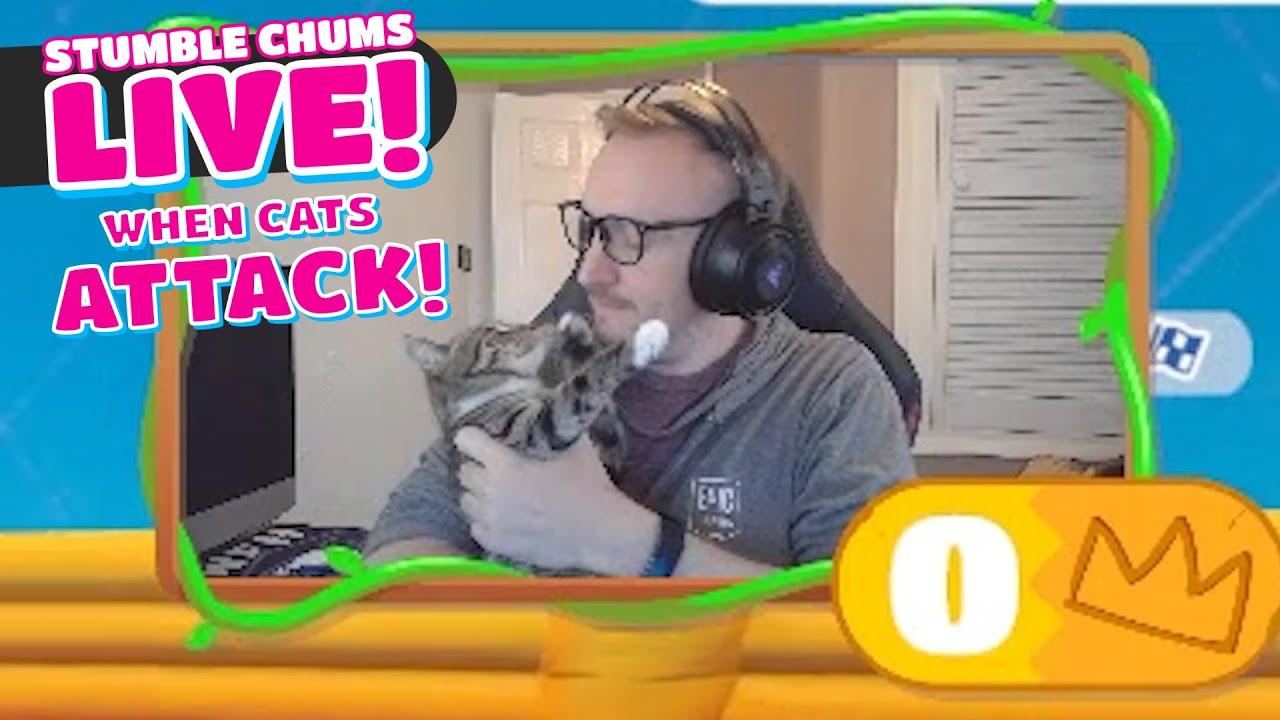 Stumble Chums Live - Highlights! WHEN CATS ATTACK thumbnail