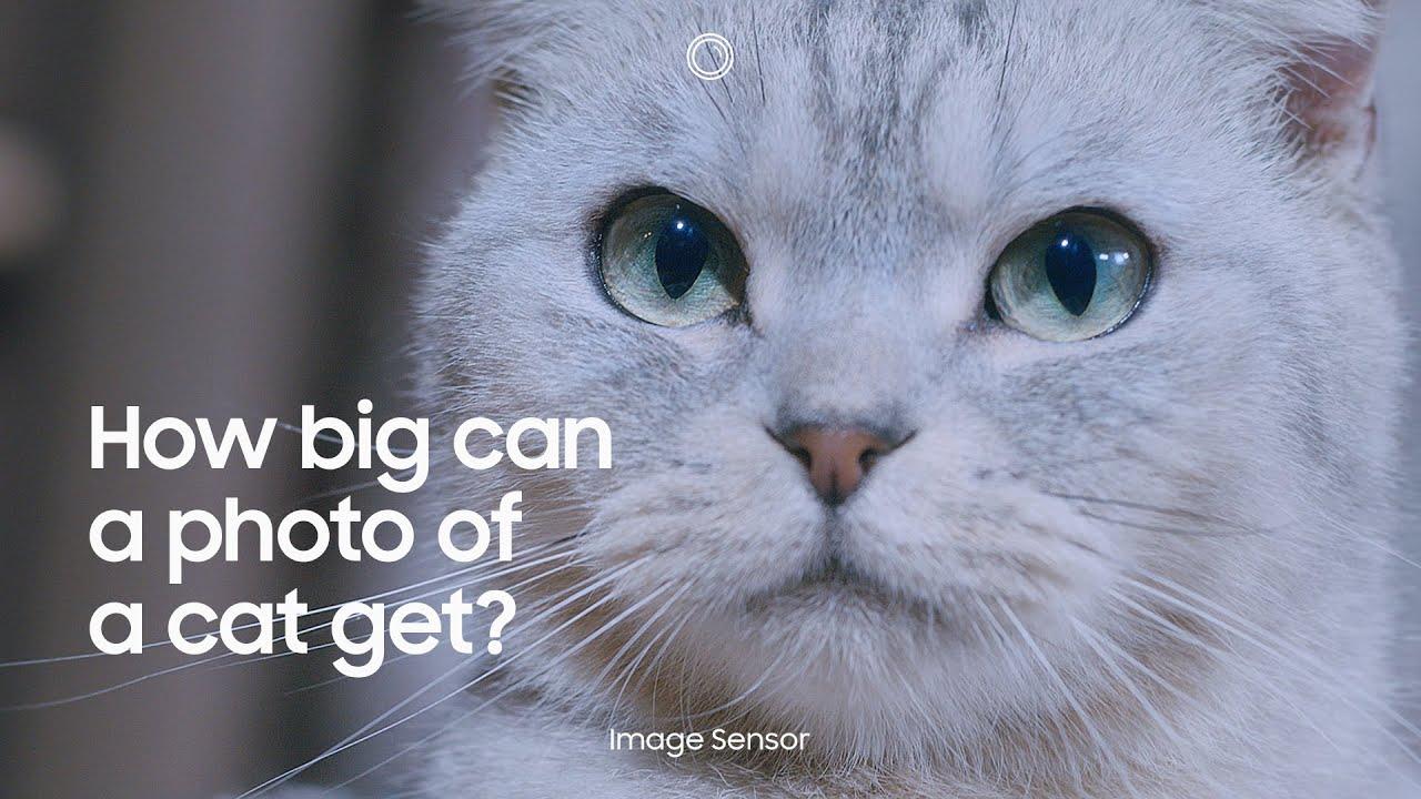 ISOCELL Image Sensor: More pixels. More detail. | Samsung thumbnail