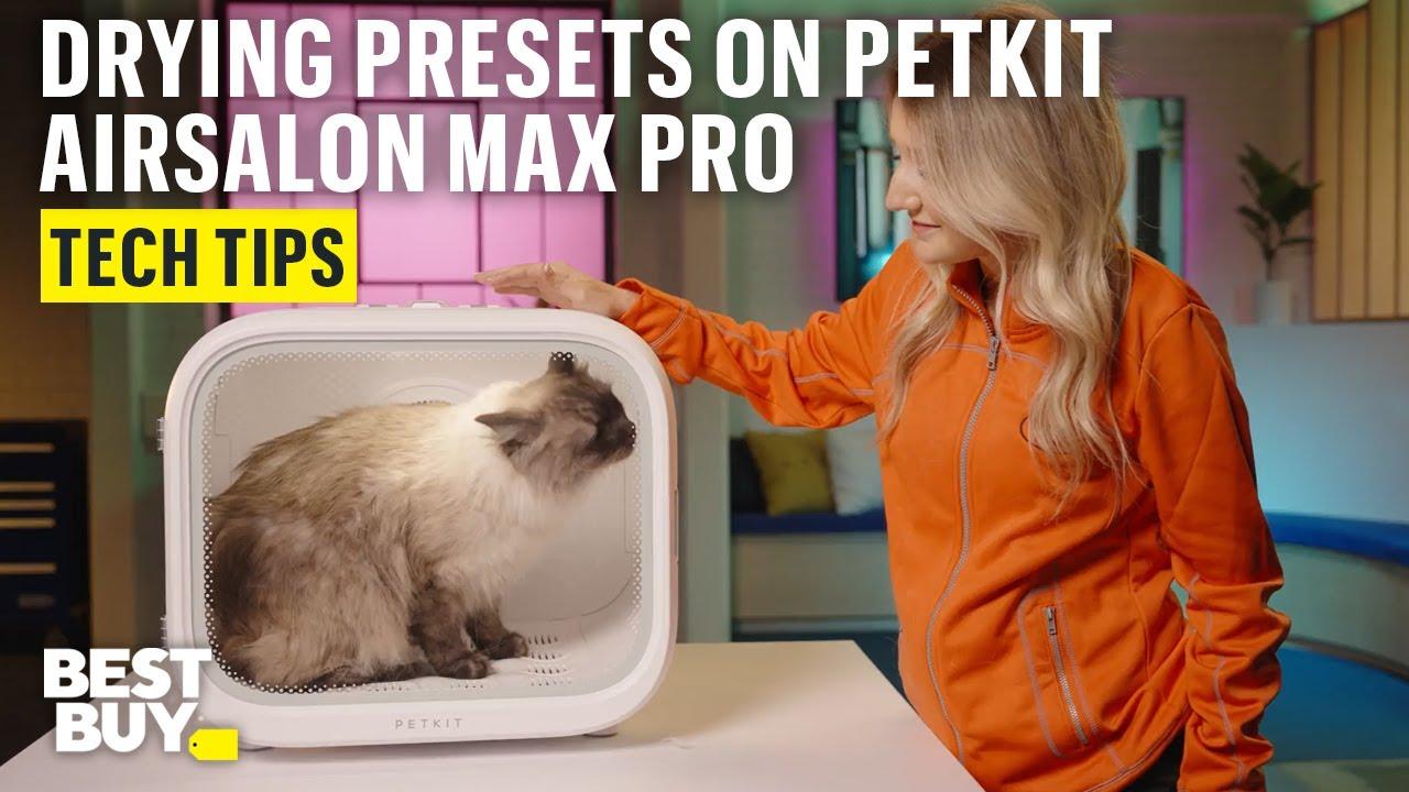 Drying Presets on the PETKIT AirSalon Max Pro Pet Hair Drying Box – Tech Tips from Best Buy thumbnail