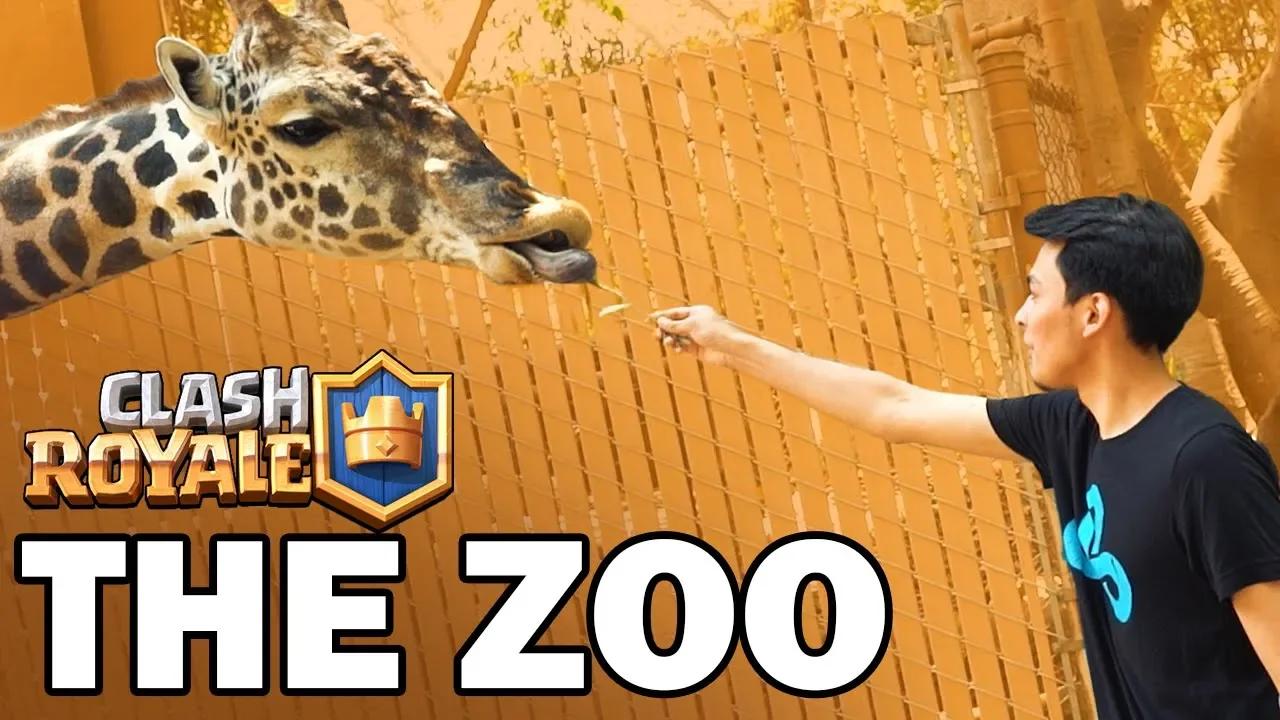 Cloud9 Clash Royale Explores The Zoo thumbnail