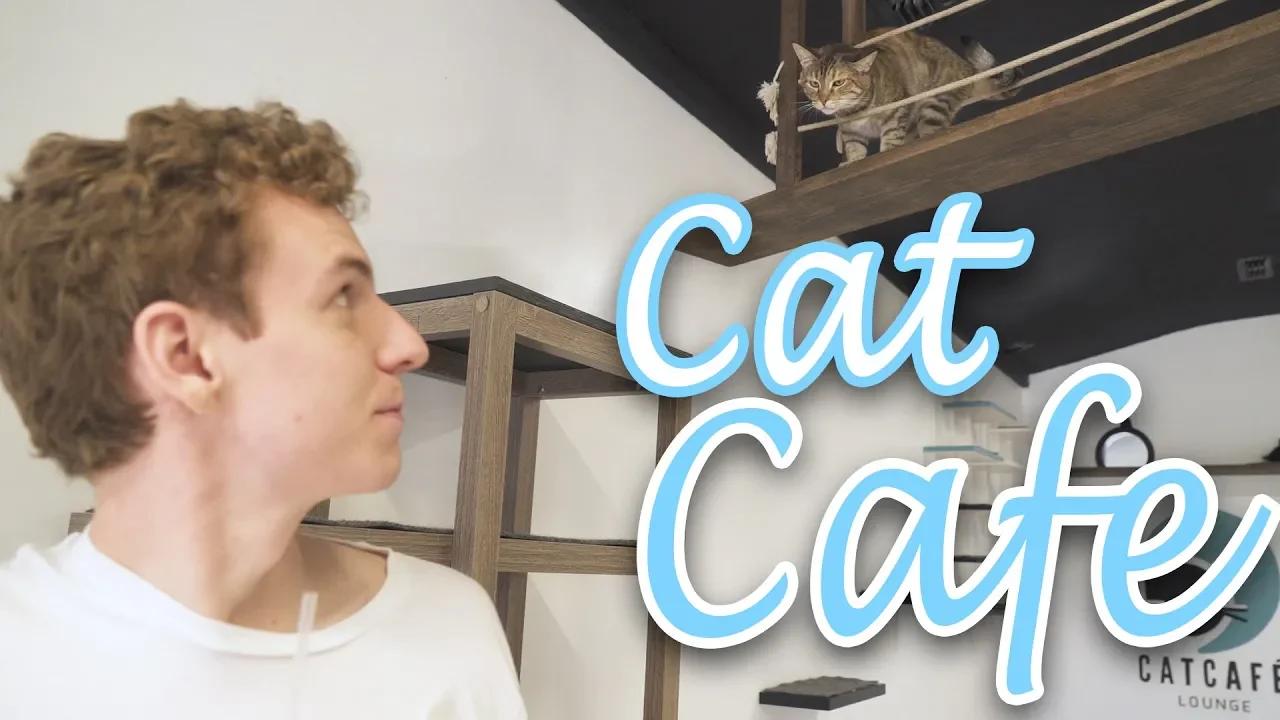 Cloud9 Vlog | Cat Cafe thumbnail