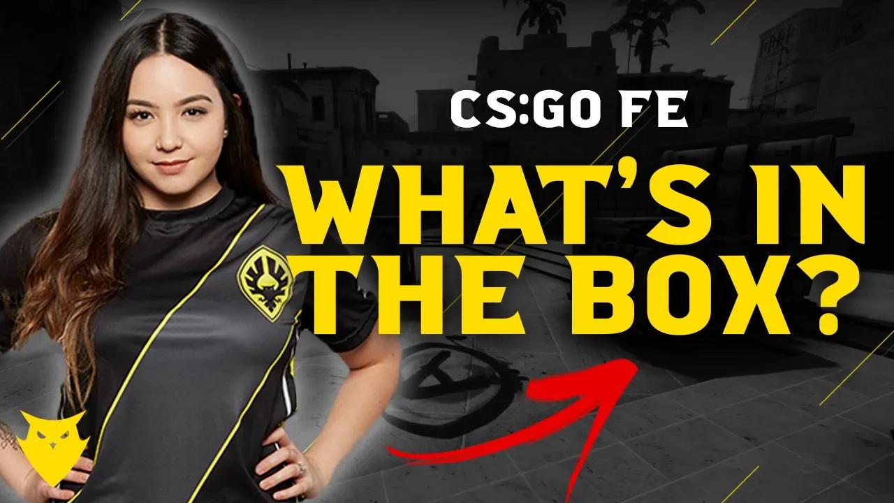 What's In The Box CHALLENGE w/ Dignitas CS:GO fe thumbnail