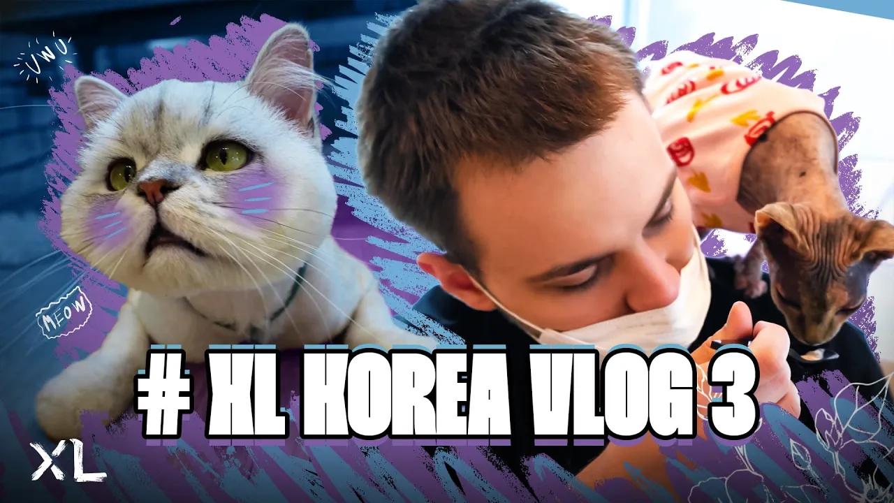 YUUMI IRL? | #XLKOREA VLOG 3 thumbnail