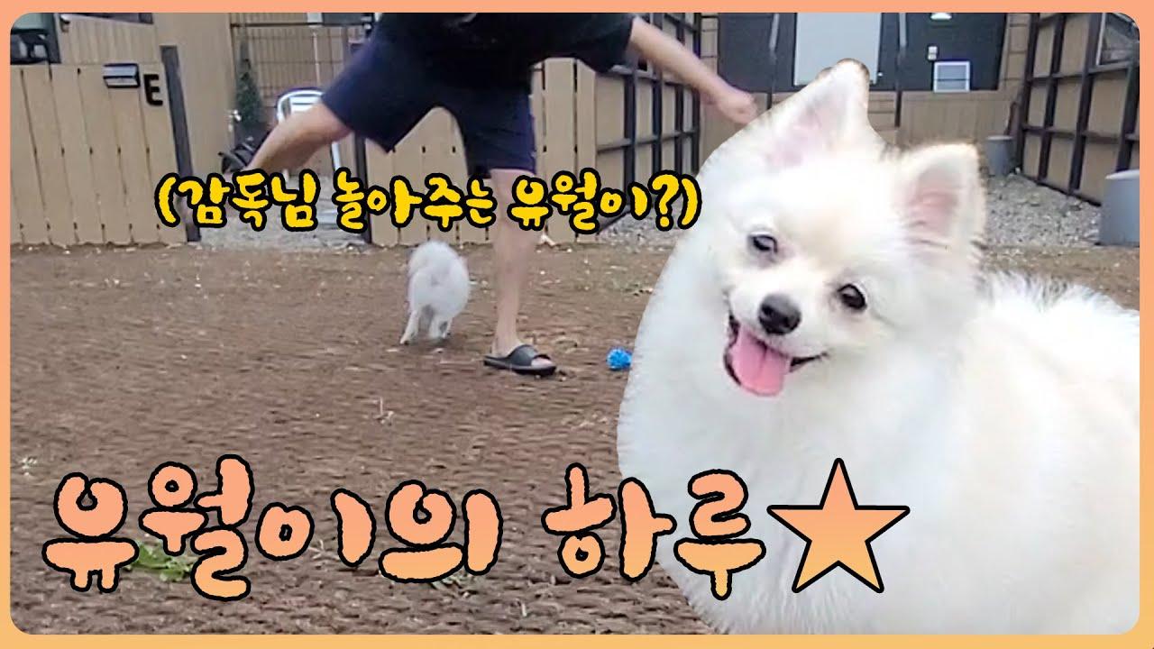 [Freecs Kart] 재생버튼 무조건 클릭할 수밖에 없는 영상｜유월이 안녕하개🐶 thumbnail