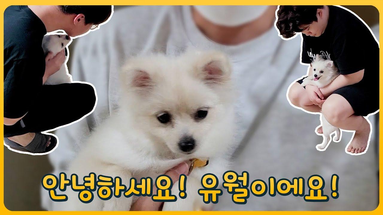 [Freecs Kart] 💥유월이 카트팀 숙소 등장💥｜아프리카 프릭스 thumbnail