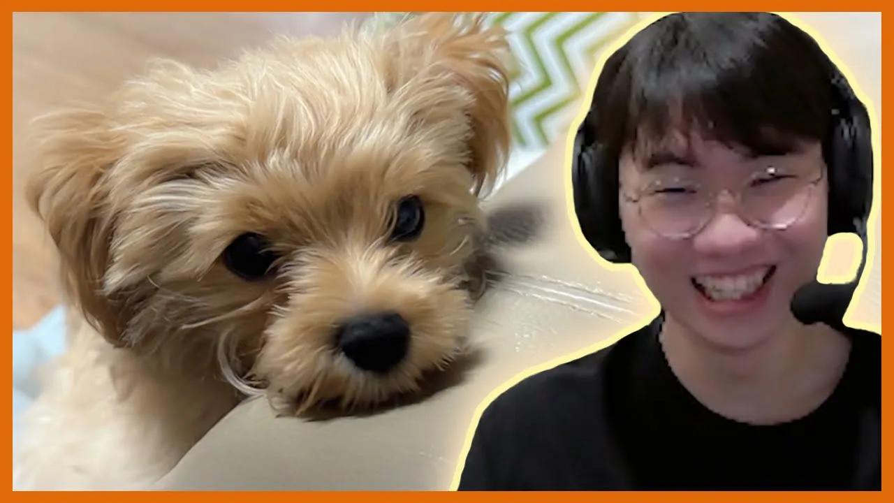 무슨무슨 법으로 최모닝 사진 뿌려요 thumbnail