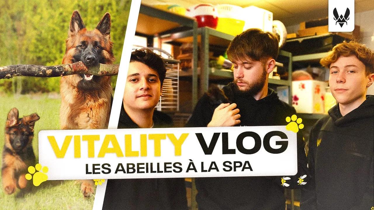 Nikof, Podasai et Snayzy à la SPA de Gennevilliers thumbnail