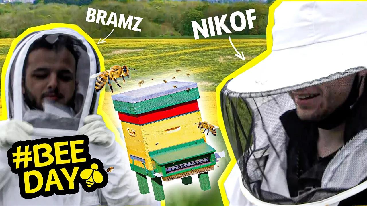 A la rencontre des abeilles - Nikof et Bramz thumbnail