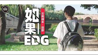 IF EDG | Meiko: "If I wasn't in EDG..." （ENG SUB）Meiko专访【如果•EDG】 thumbnail