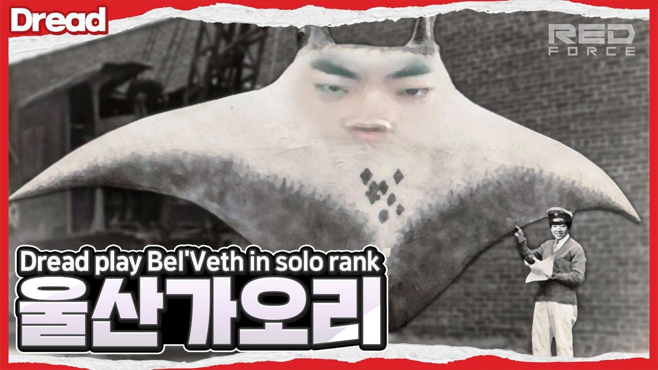 울산 앞바다 거대 가오리 출현 [NS Stream H/L] thumbnail