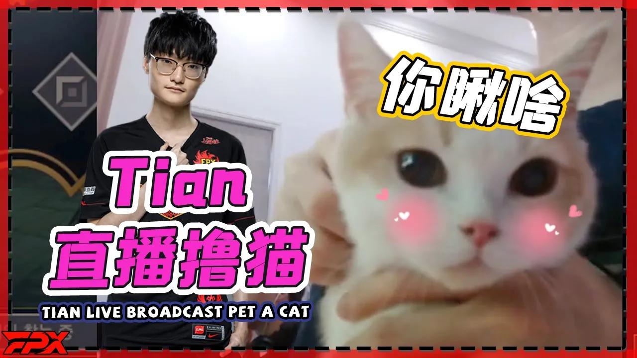 小天直播撸猫，小猫咪太可爱了 - Tian live broadcast pet a cat, the kitten is too cute～ thumbnail