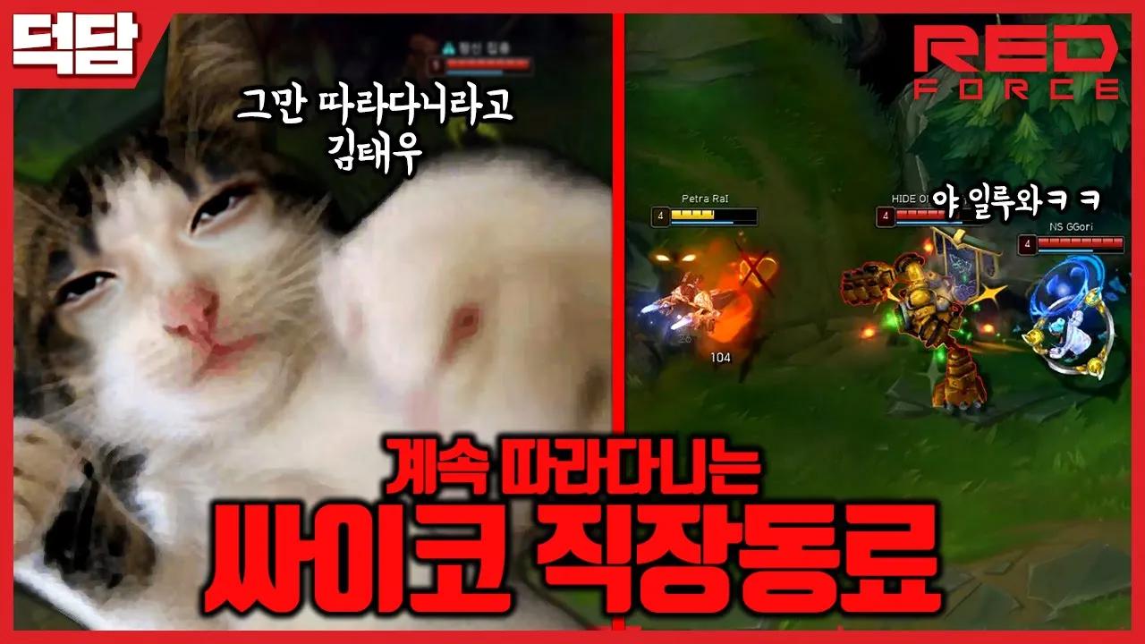 야옹해 덕덕 [NS Stream H/L] thumbnail