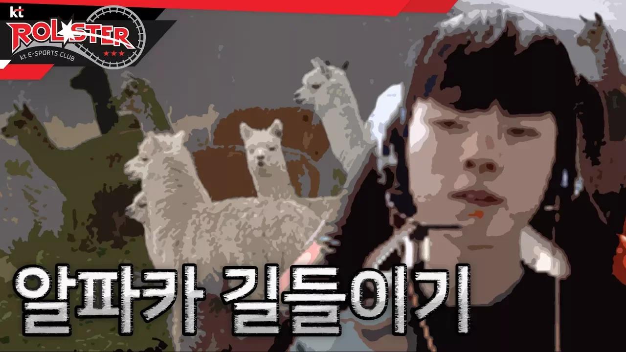 [kt Rolster TALK] 알파카 길들이기(feat. 코치님) thumbnail