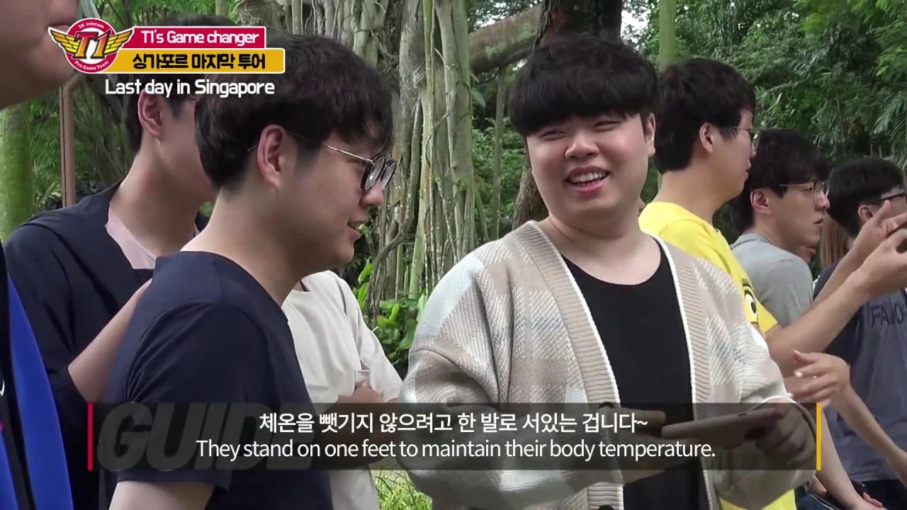 SKT T1's workshop, Day 3 in Singapore. A trip to Jurong Bird Park! thumbnail