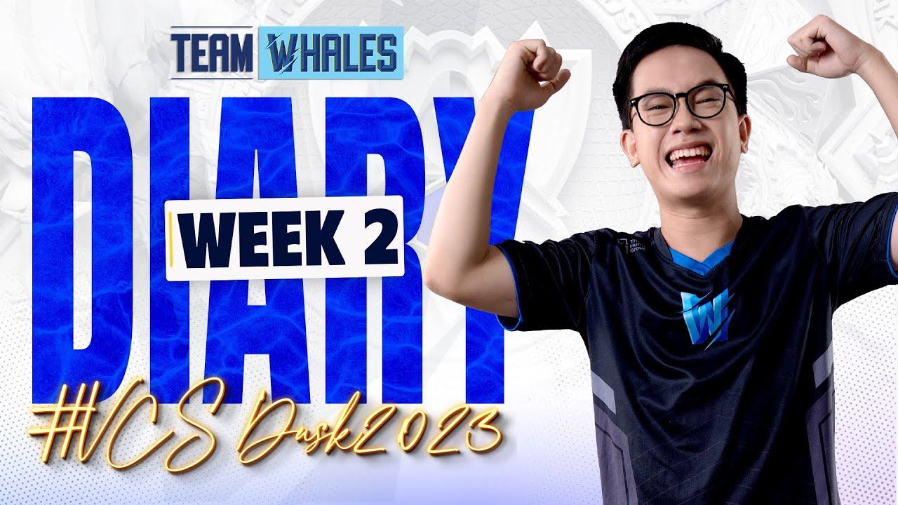 CƠN THỊNH NỘ CỦA ĐẠI DƯƠNG | TW DIARY W2 vs TS | VCS DUSK 2023 | Team Whales LoL thumbnail