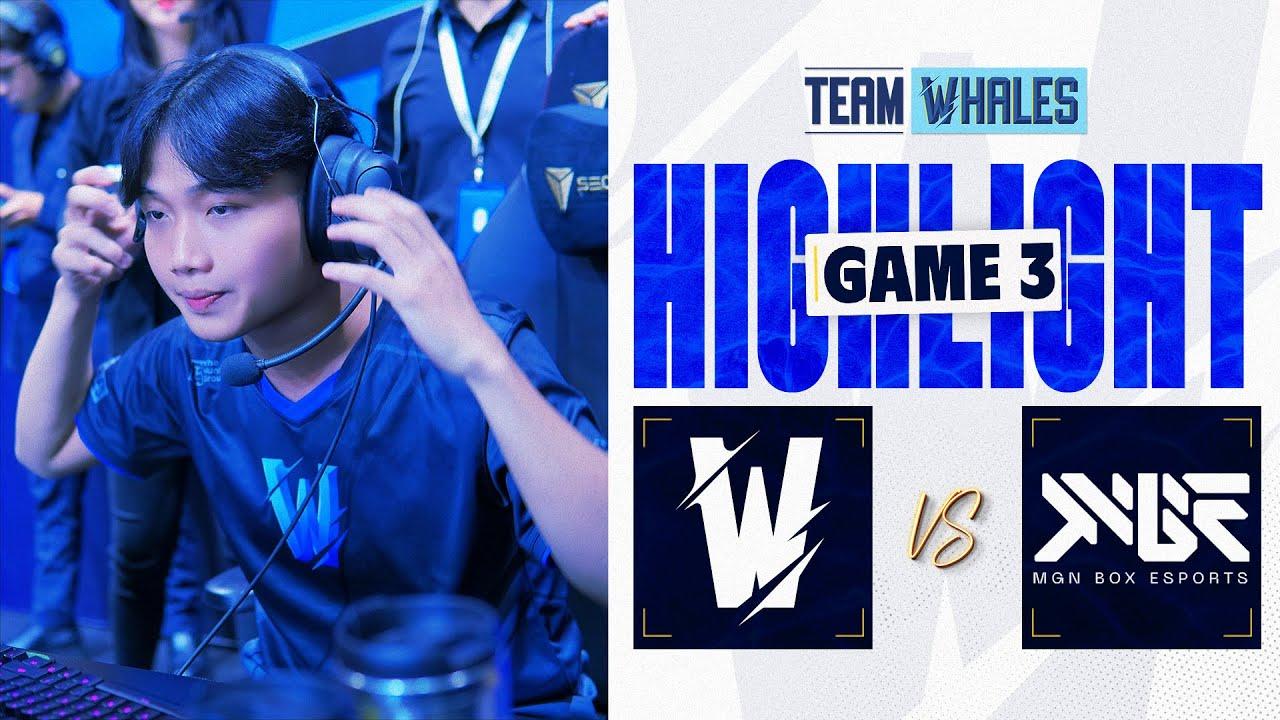 MBE vs TW (LƯỢT ĐI) | Hightlights GAME 3 | VCS 2023 Dusk Season | MGN Box Esports vs Team Whales thumbnail