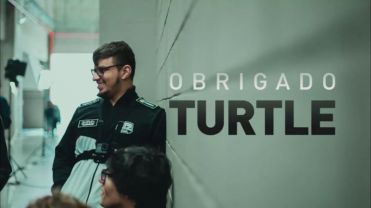 OBRIGADO, TURTLE! thumbnail