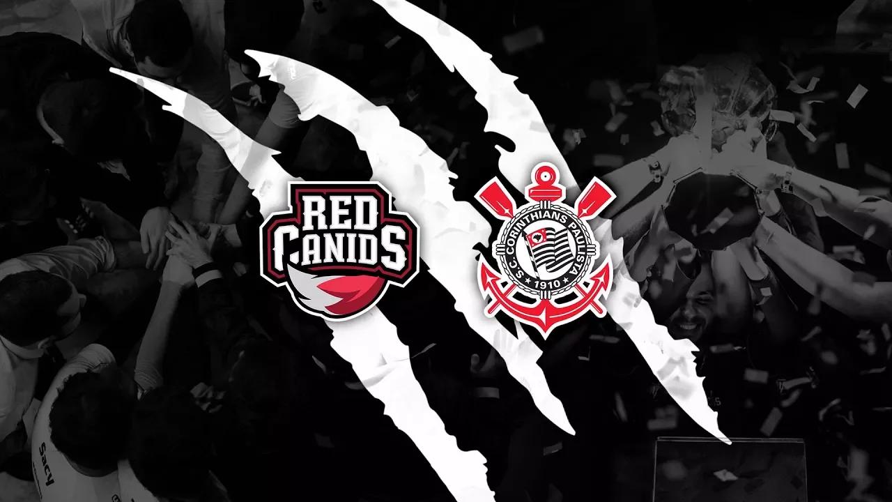 RED Canids Corinthians thumbnail