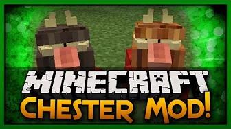 Minecraft Mod Spotlight: Chest Pets That Follow You? (Chester Mod) thumbnail