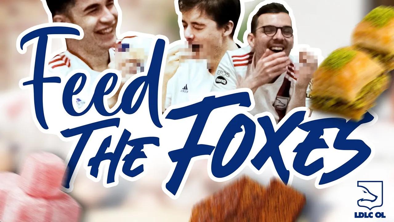 Feed the Foxes - Country Edition thumbnail