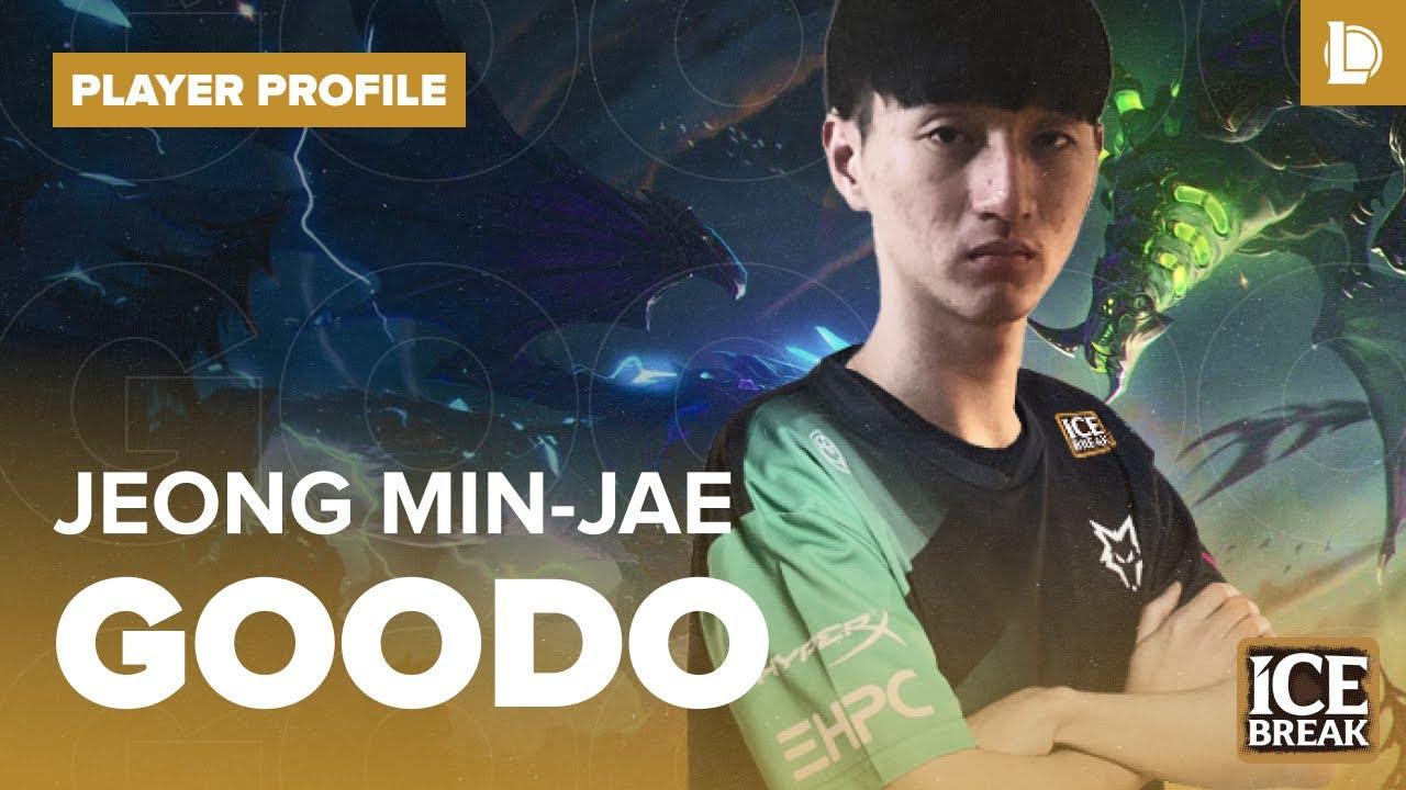 Player Profile: Goodo | Dire Wolves League of Legends thumbnail