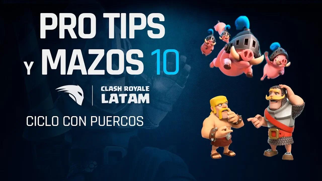 MAZO DE CICLO DE PUERCOS - PROTIPS y MAZOS 10 by Victor thumbnail