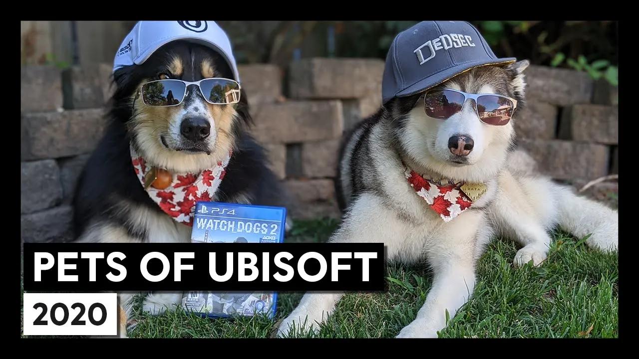 Pets of Ubisoft 2020 thumbnail